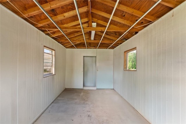 basement with wood walls