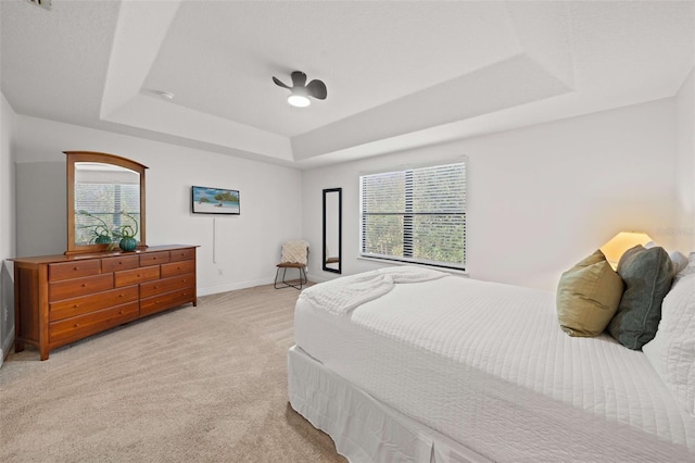 carpeted bedroom featuring a raised ceiling