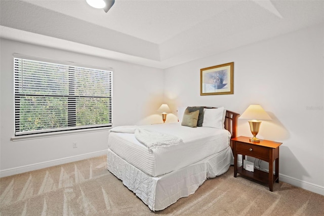 8091 Brooksville Dr, Davenport, FL 33896 - bedroom with light carpet, baseboards, and a raised ceiling