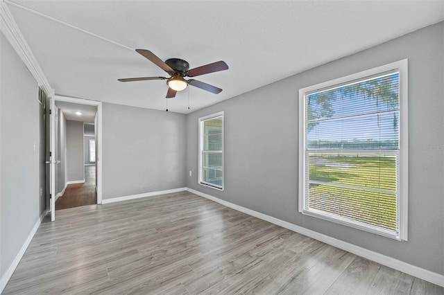 unfurnished bedroom featuring ceiling fan, light hardwood / wood-style flooring, and multiple windows