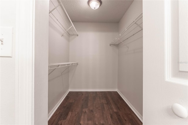 walk in closet featuring dark wood-type flooring