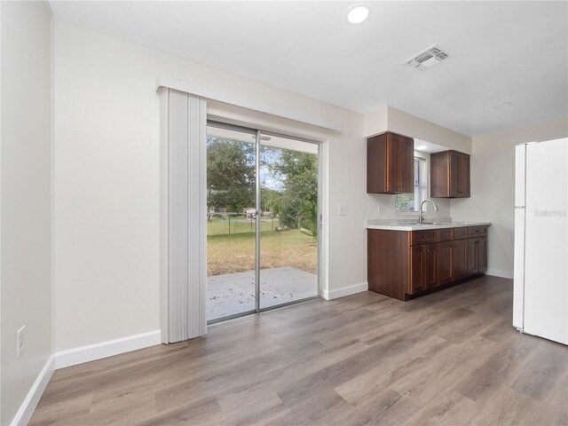 kitchen with dark brown cabinets, sink, light hardwood / wood-style flooring, and white fridge