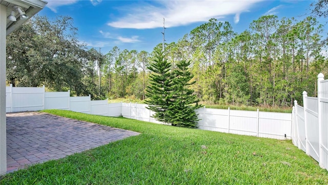 view of yard featuring a patio area