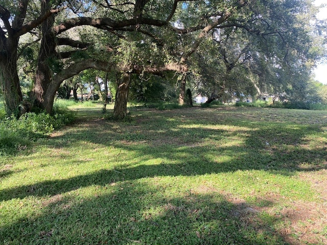 Listing photo 3 for 2232 Bordeau Ct Unit C, Auburndale FL 33823