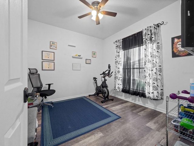 workout area with ceiling fan and dark hardwood / wood-style floors