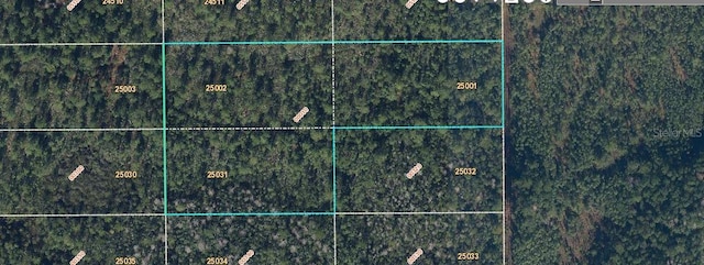 Dill Rd, Orlando FL, 32820 land for sale