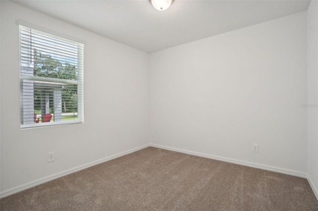 empty room featuring carpet floors and plenty of natural light