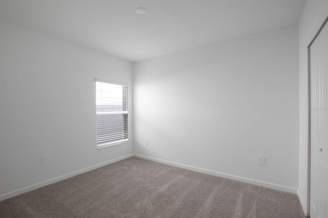 empty room featuring carpet