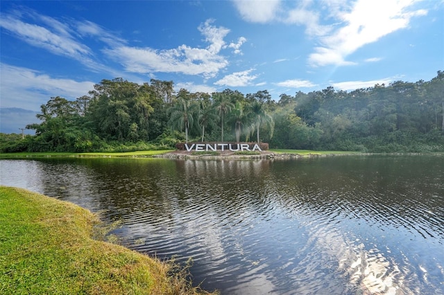 view of water feature