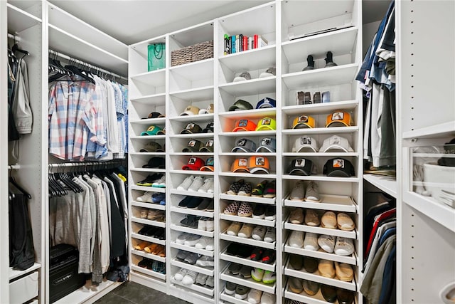 view of spacious closet