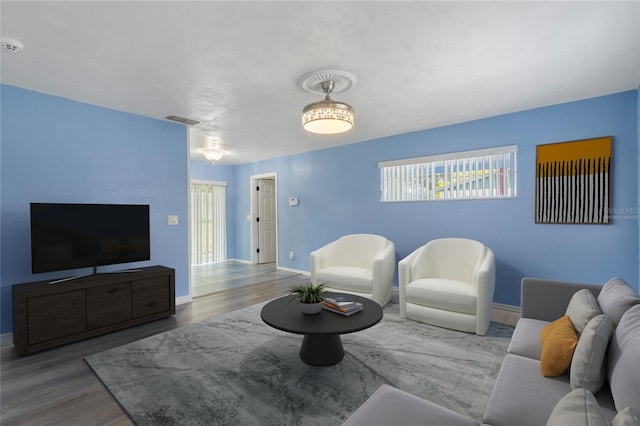 living room featuring wood-type flooring