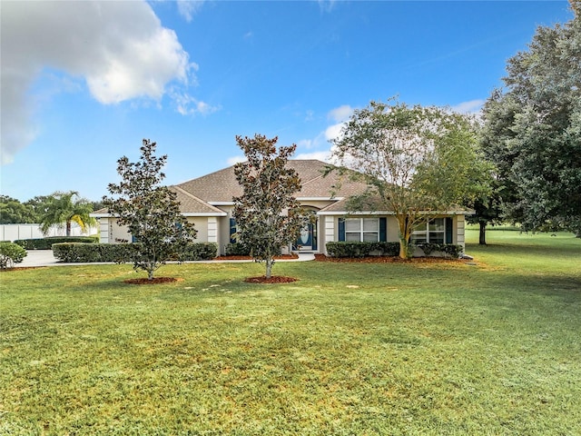 ranch-style house featuring a front yard