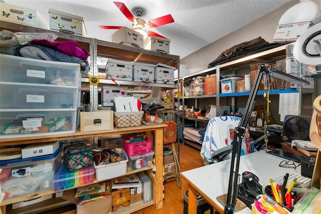 storage room featuring ceiling fan