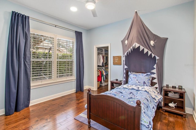 bedroom with ceiling fan, a closet, dark hardwood / wood-style floors, and a spacious closet