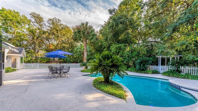 view of swimming pool with a patio area