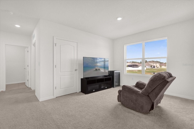 living room with light carpet