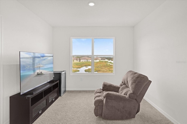 living area featuring carpet flooring