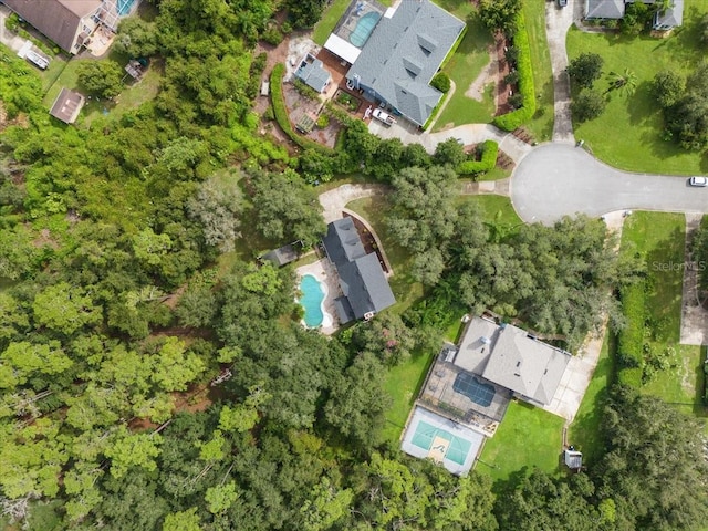 bird's eye view