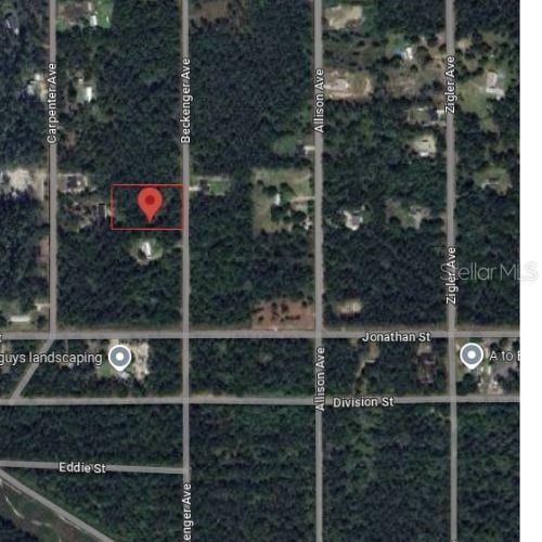 10705 Beckenger Ave, Hastings FL, 32145 land for sale