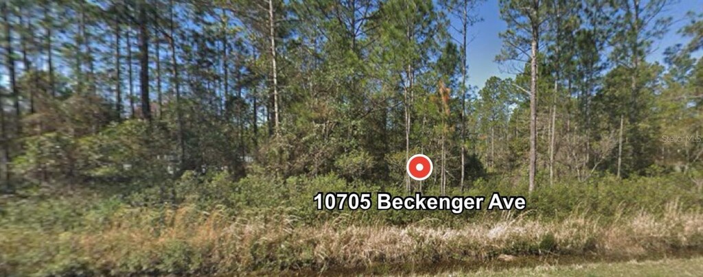 10705 Beckenger Ave, Hastings, FL 32145