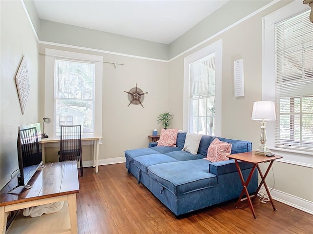 living room with hardwood / wood-style floors