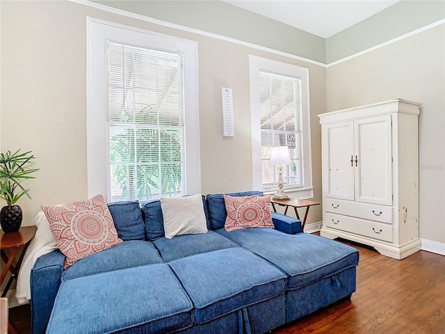 living room with dark hardwood / wood-style flooring