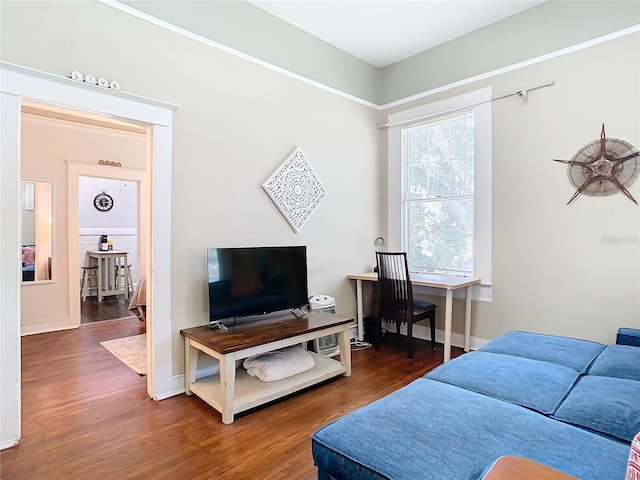 living room featuring dark wood-type flooring