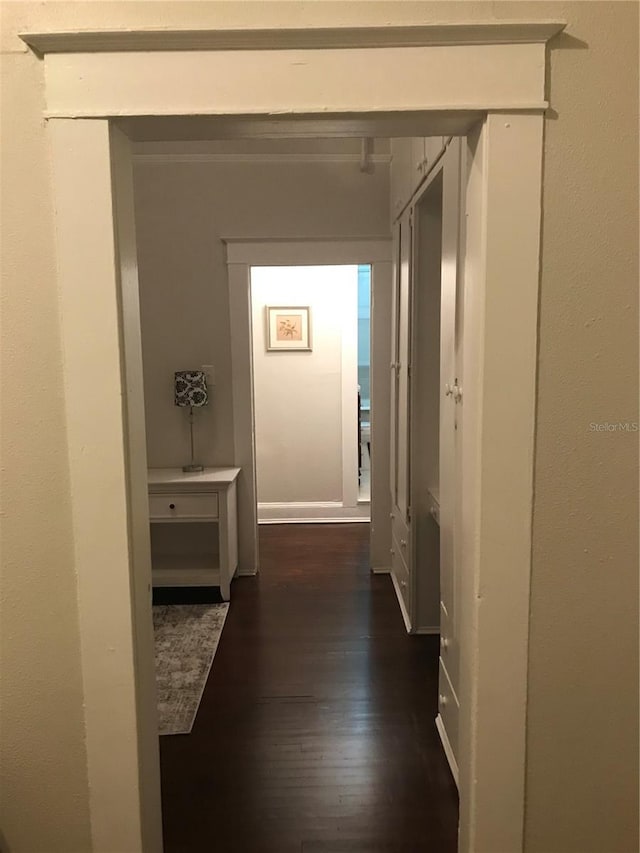 hallway featuring dark hardwood / wood-style flooring