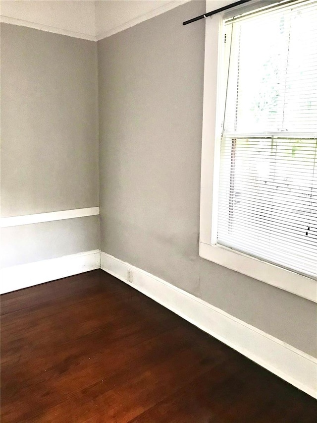 empty room featuring hardwood / wood-style flooring and crown molding