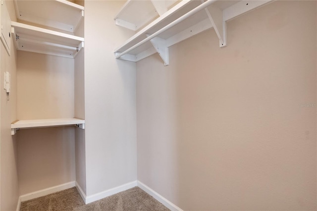 spacious closet with carpet