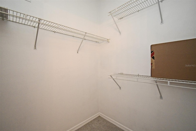 570 Cranes Way Unit 248, Altamonte Springs, FL 32701 - spacious closet featuring carpet flooring