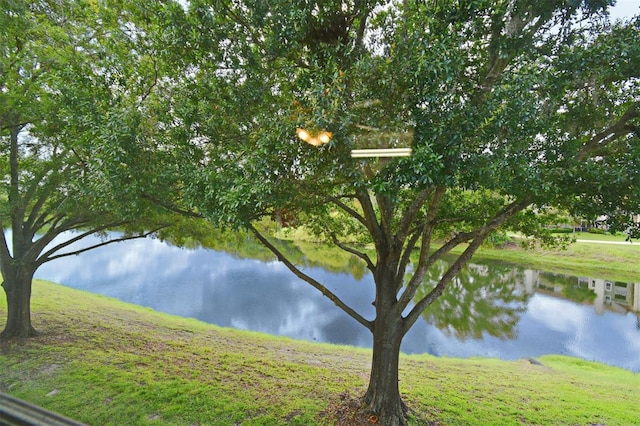 570 Cranes Way Unit 248, Altamonte Springs, FL 32701 - water view