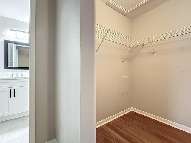 spacious closet with light wood-type flooring and sink