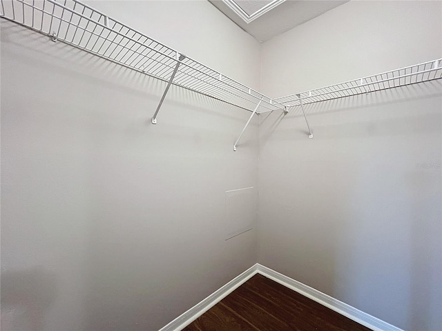 walk in closet with hardwood / wood-style floors