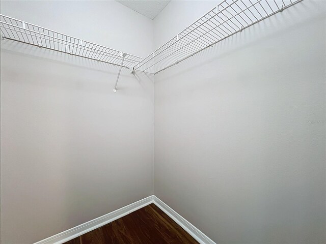 spacious closet featuring hardwood / wood-style flooring