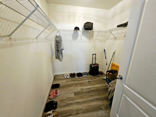 walk in closet featuring hardwood / wood-style floors