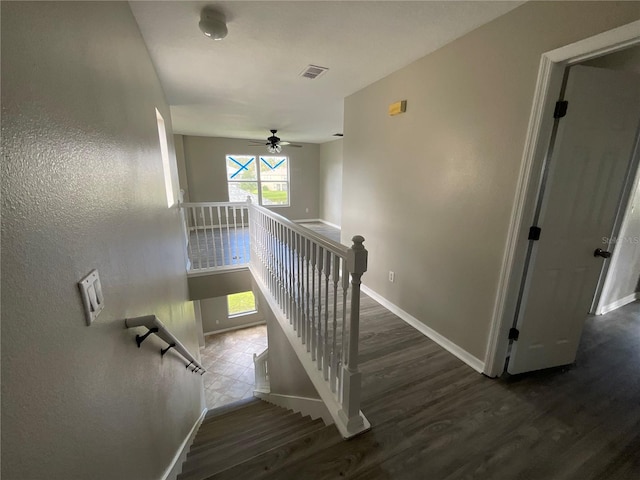 stairway with ceiling fan and hardwood / wood-style flooring