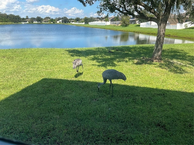 view of yard with a water view