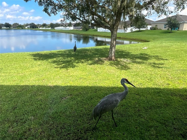 view of yard featuring a water view