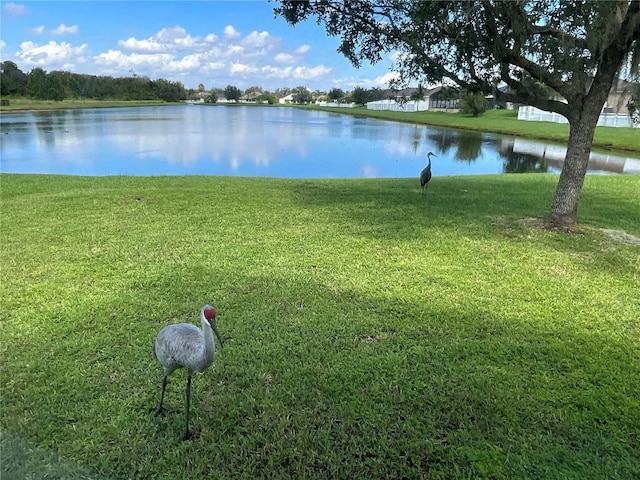 water view