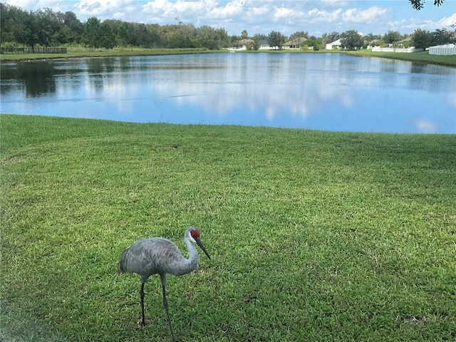 property view of water