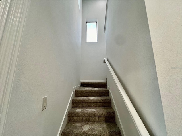 staircase with carpet