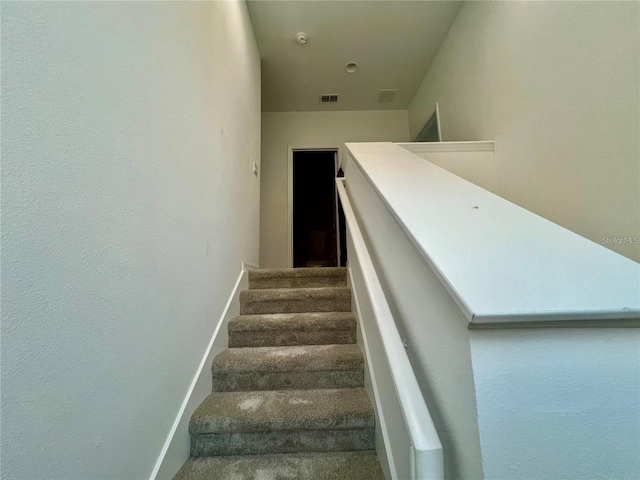 staircase featuring carpet floors