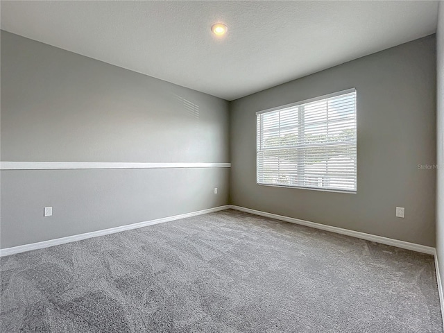 spare room featuring a textured ceiling and carpet floors