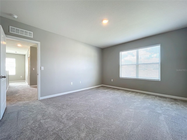 empty room featuring a textured ceiling, carpet, and a wealth of natural light