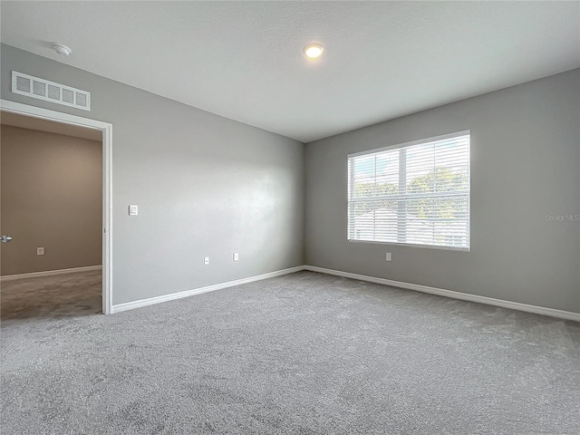 spare room featuring carpet floors