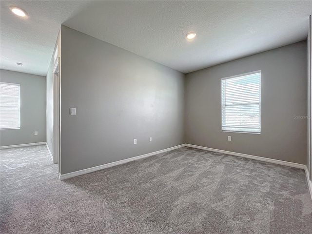 empty room with carpet floors, a healthy amount of sunlight, and a textured ceiling