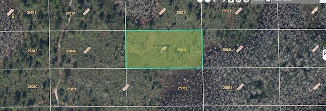 Dill Rd, Orlando FL, 32820 land for sale