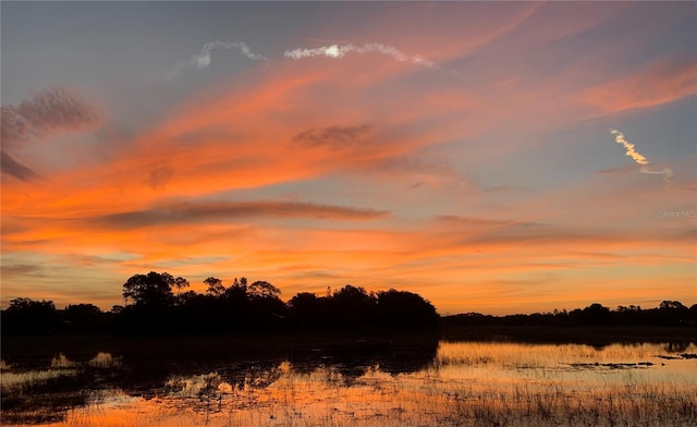 nature at dusk featuring a water view