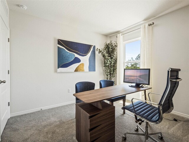 office area featuring a textured ceiling and carpet flooring